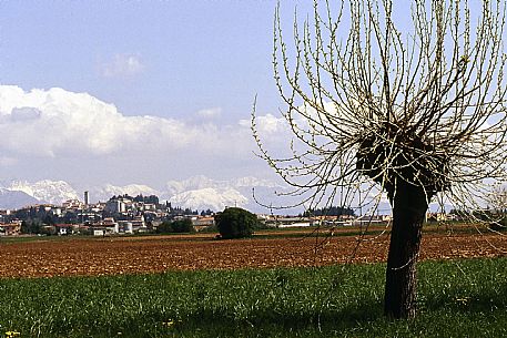 San Daniele del Friuli